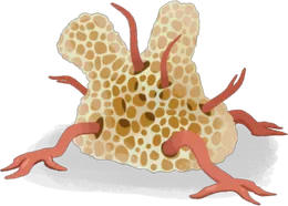 화석 매복자