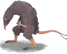 두꼬리쥐