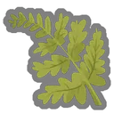 Delicate Frond
