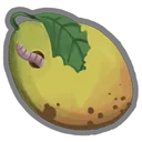 Mango???