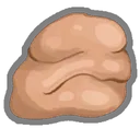 파엘의 군체